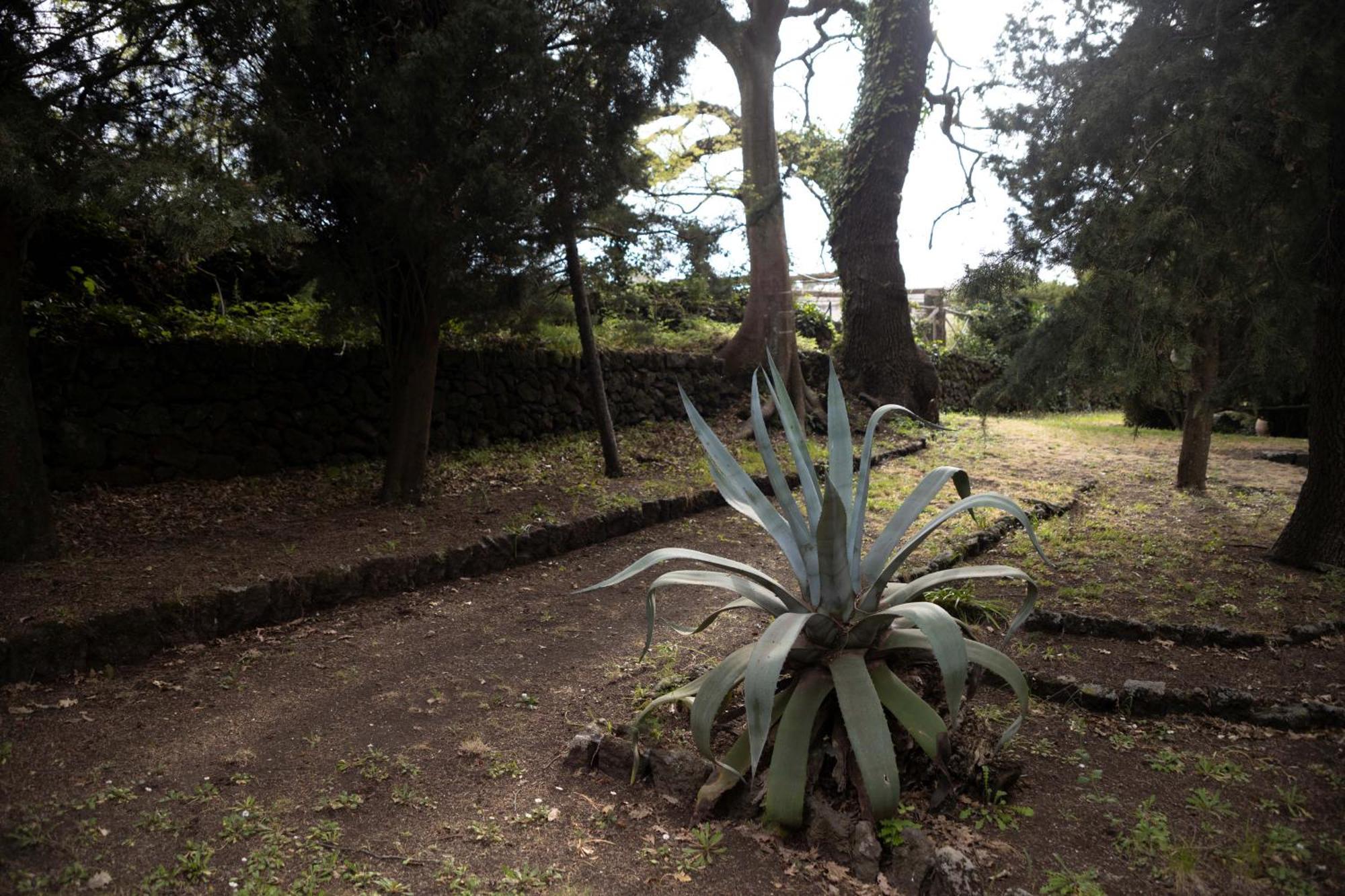 Parco Statella Villa Montelaguardia Bagian luar foto