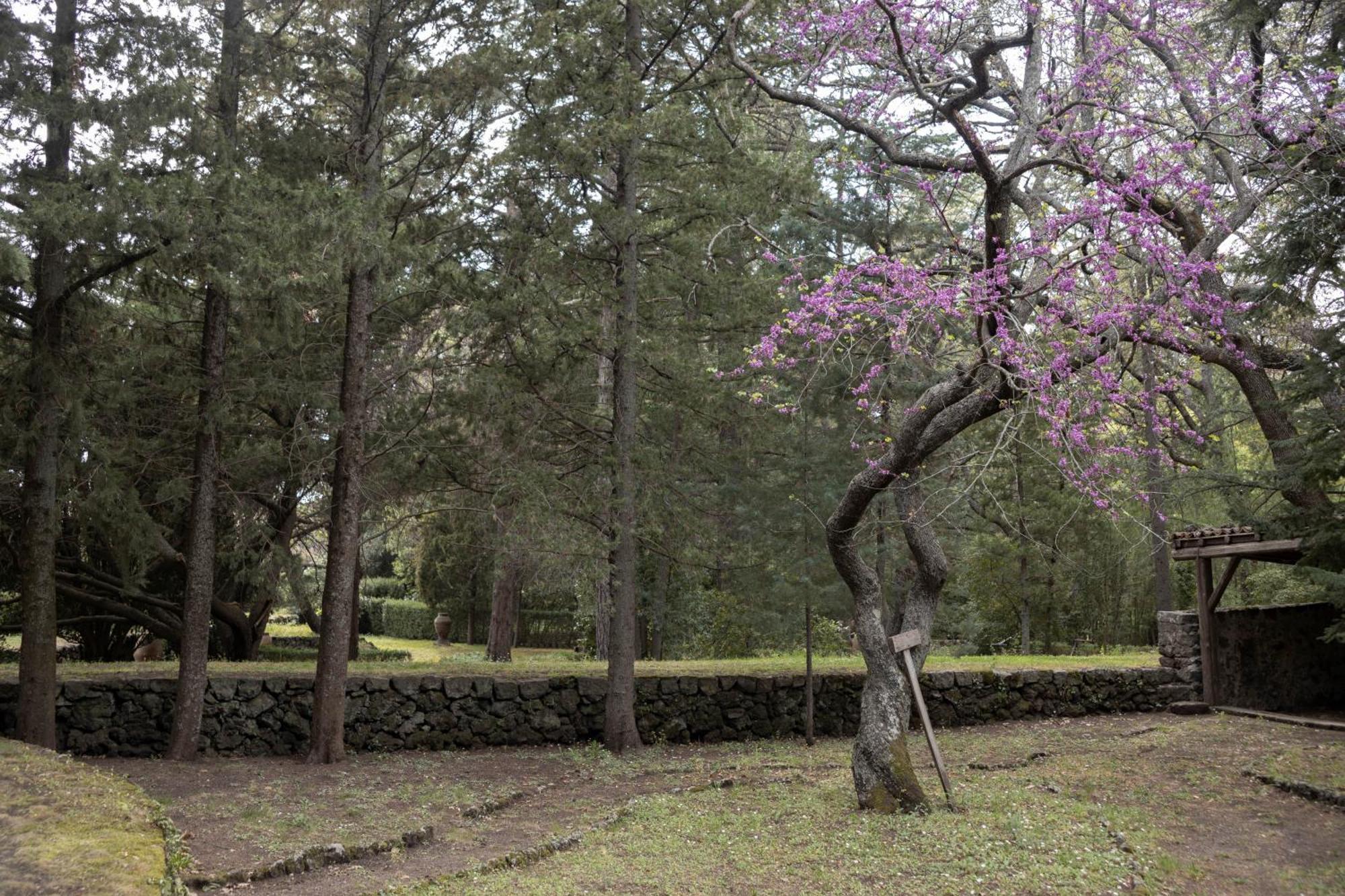 Parco Statella Villa Montelaguardia Bagian luar foto