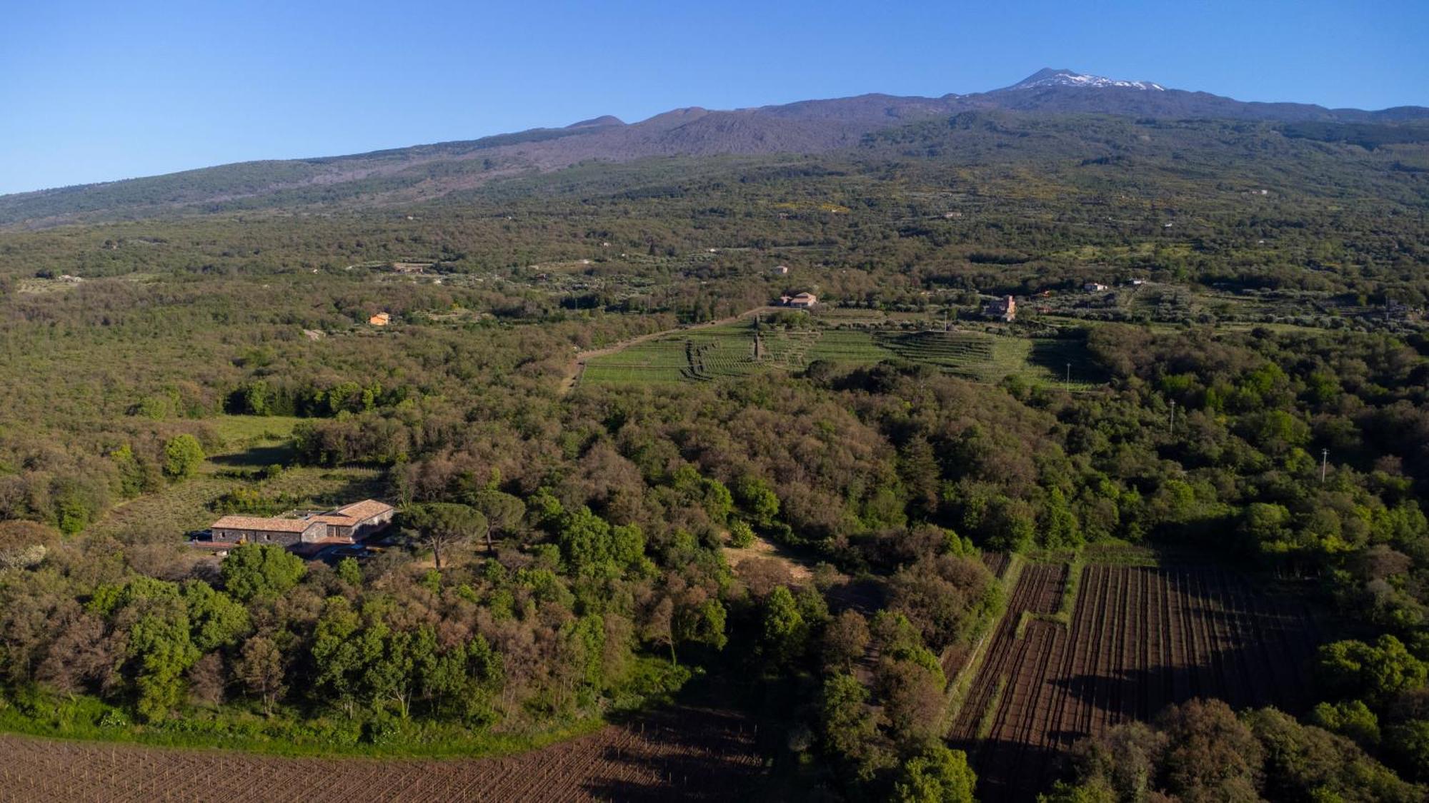 Parco Statella Villa Montelaguardia Bagian luar foto