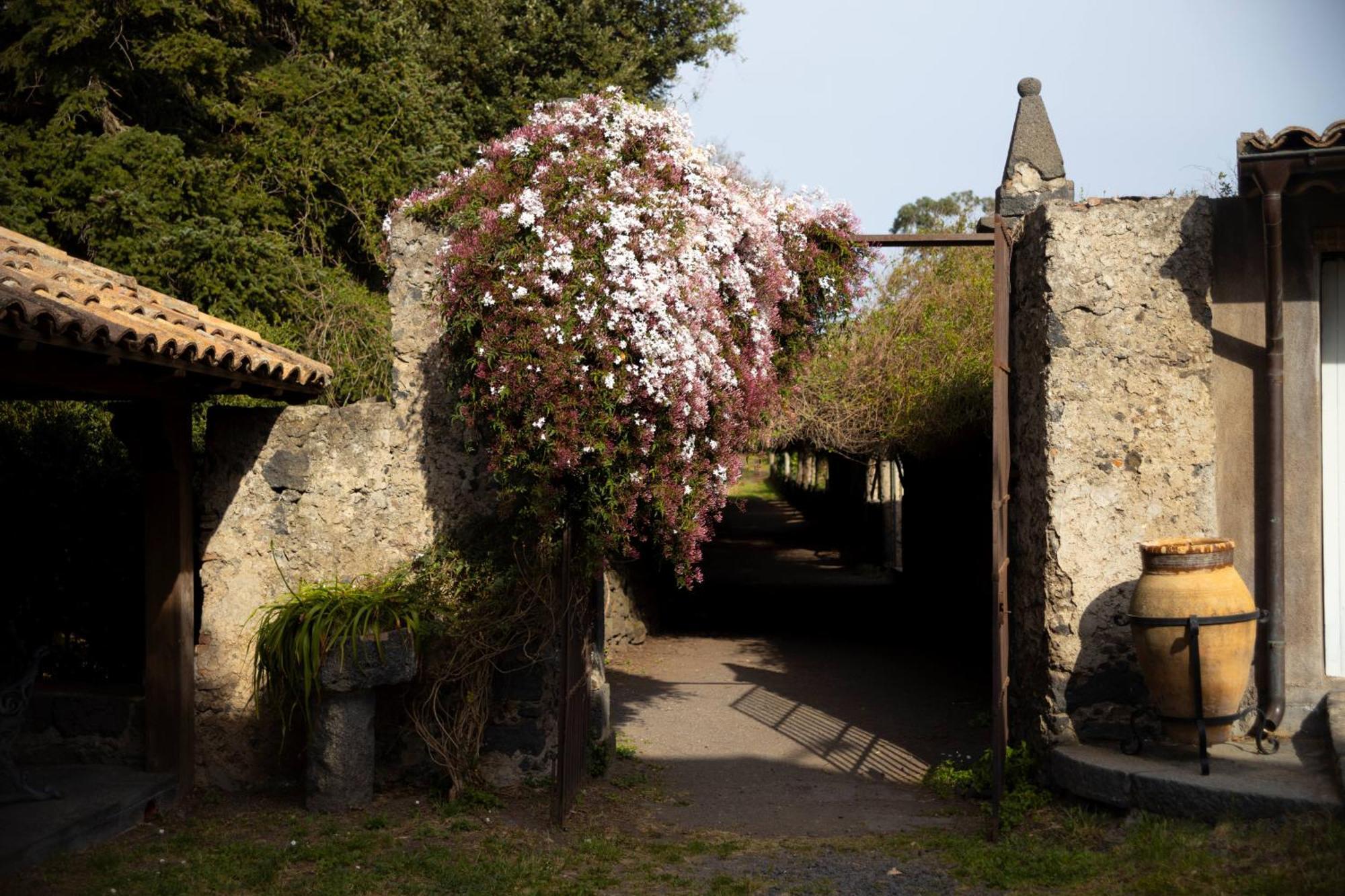 Parco Statella Villa Montelaguardia Bagian luar foto